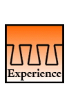 Experience